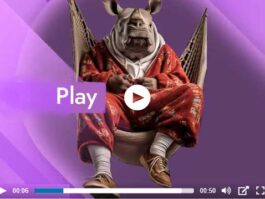 Rhino-play