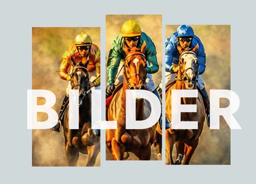 bilder-race Bilder och illustrationer. Såväl nyskapade som stort bibliotek